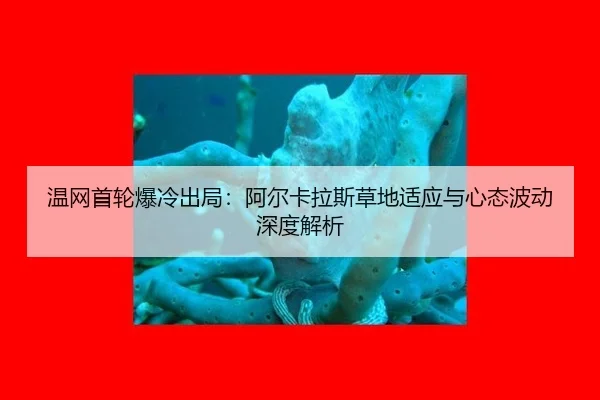wen-wang-shou-lun-bao-leng-chu-ju-a-er-ka-la-si-cao-di-shi-ying-yu-xin-tai-bo-dong-shen-du-jie-xi-3-747.jpg