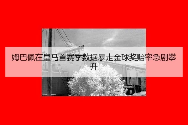 mu-ba-pei-zai-huang-ma-shou-sai-ji-shu-ju-bao-zou-jin-qiu-jiang-pei-lv-ji-ju-pan-sheng-3-702.jpg